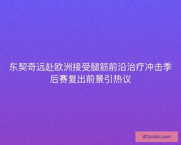 东契奇远赴欧洲接受腿筋前沿治疗冲击季后赛复出前景引热议